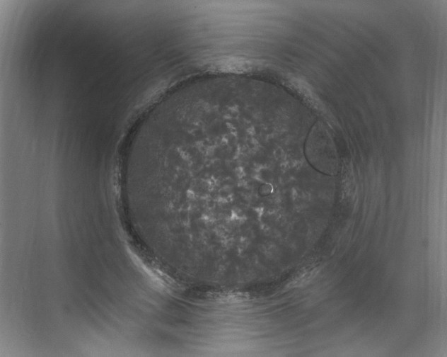 X0000070340683200606161251