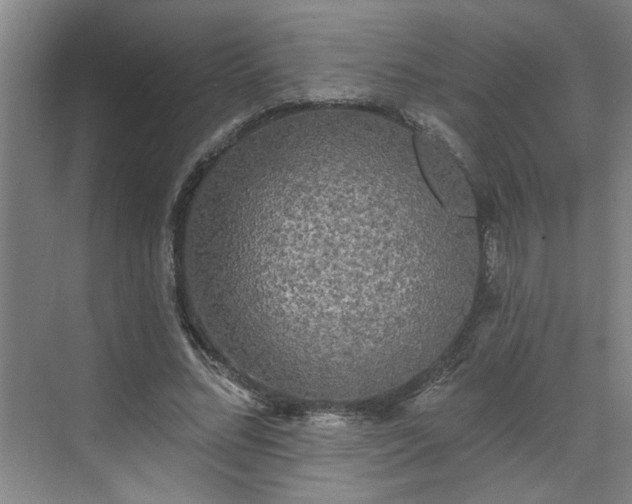 X0000070340684200606161251