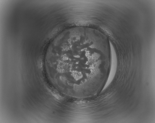 X0000070340687200606161251