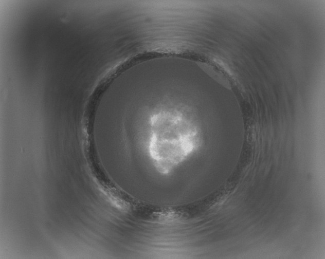 X0000070340688200606161251