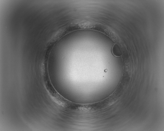 X0000070340690200606161251