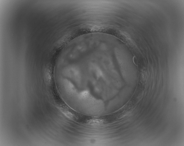 X0000070340691200606161251