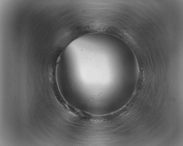 X0000070340693200606161251