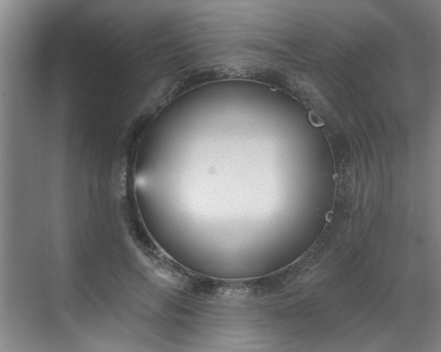 X0000070340694200606161251