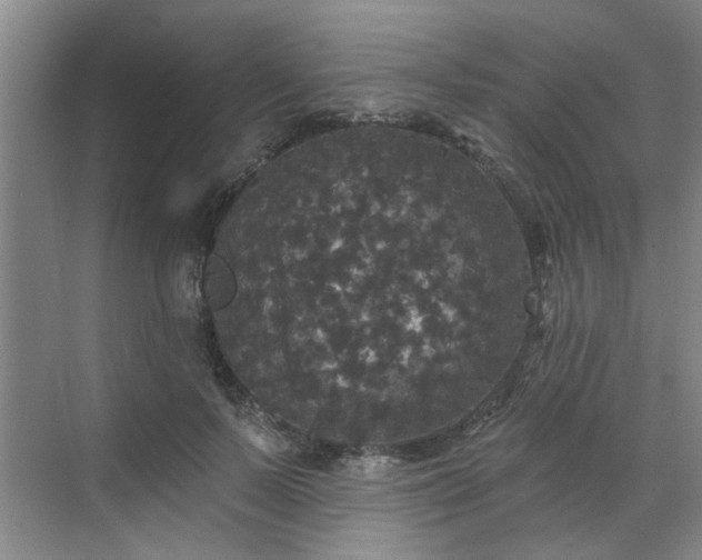 X0000070340695200606161251