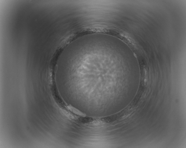 X0000070340696200606161251