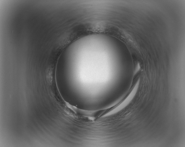 X0000070340697200606161251