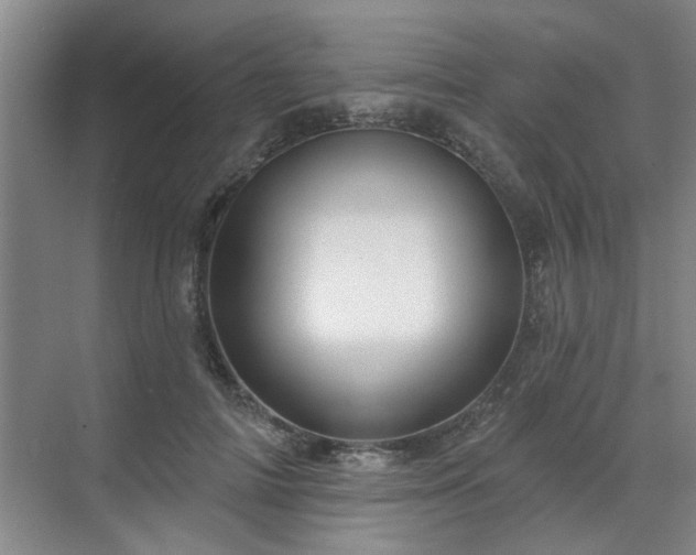 X0000070340698200606161251