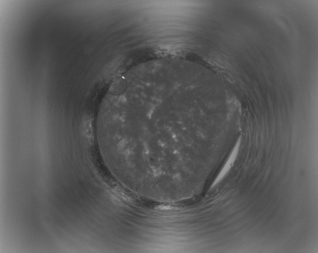 X0000070340699200606161251