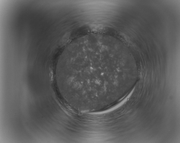 X0000070340703200606161251