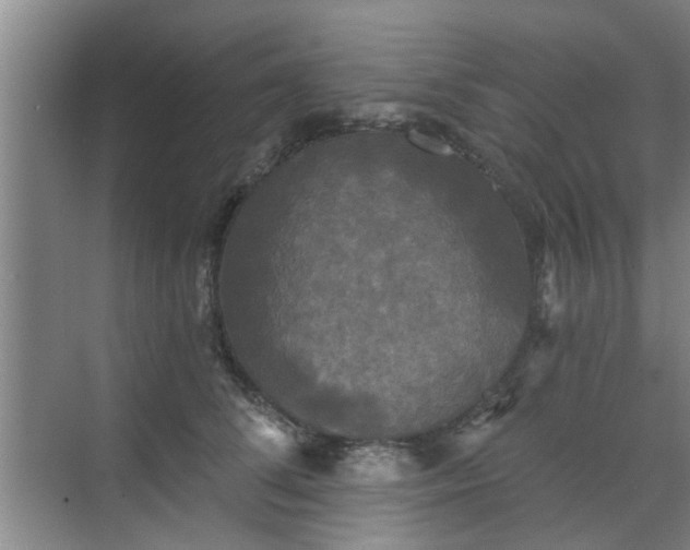 X0000070340708200606161251