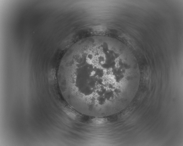 X0000070340711200606161251