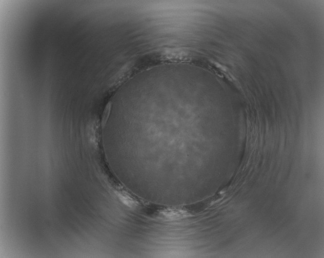 X0000070340712200606161250