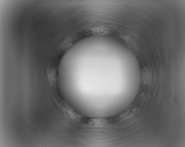 X0000070340713200606161250