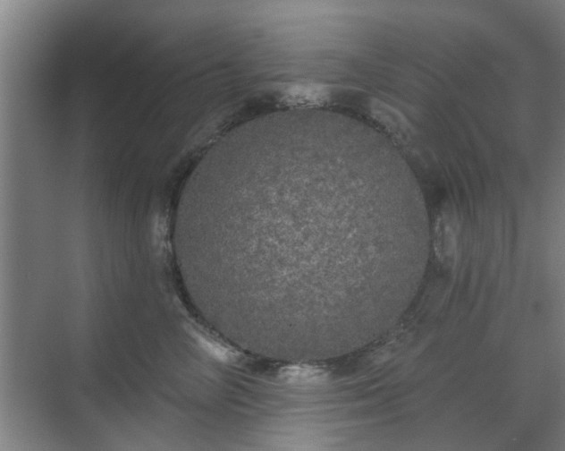 X0000070340714200606161250