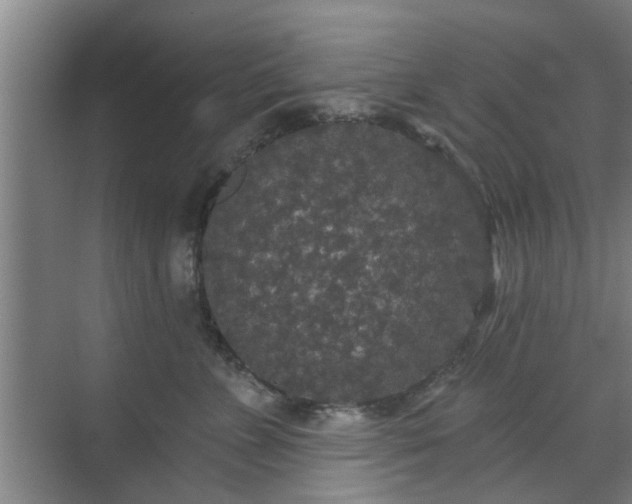 X0000070340715200606161250