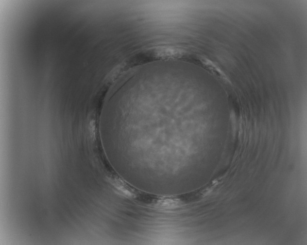 X0000070340716200606161250