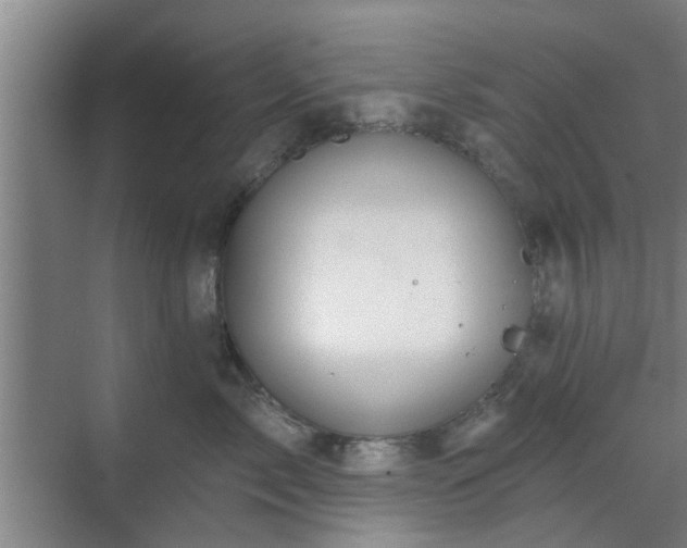 X0000070340717200606161250