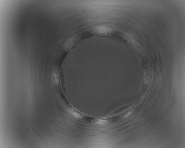 X0000070340718200606161250