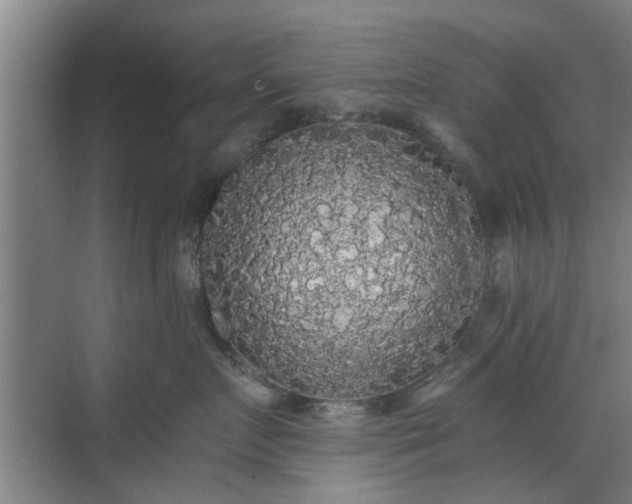 X0000070340719200606161250