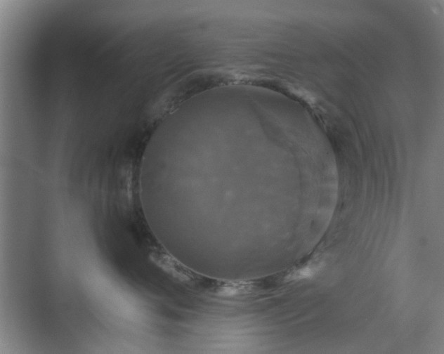 X0000070340720200606161250