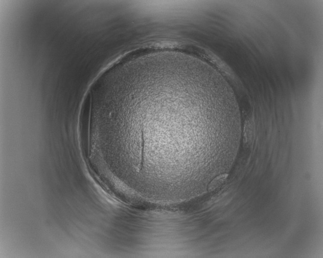 X0000070340722200606161250