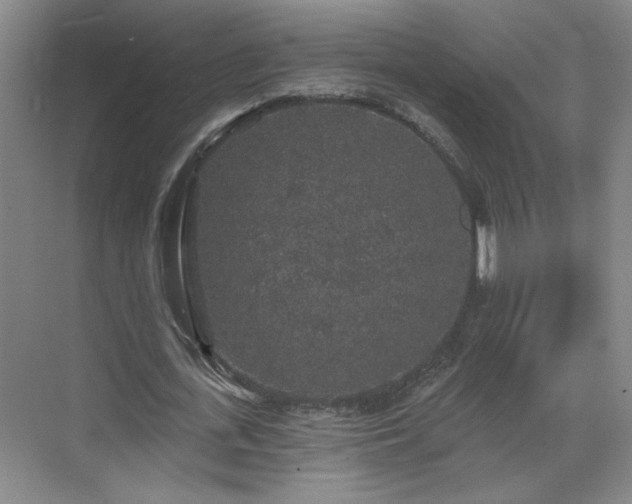 X0000070340723200606161250