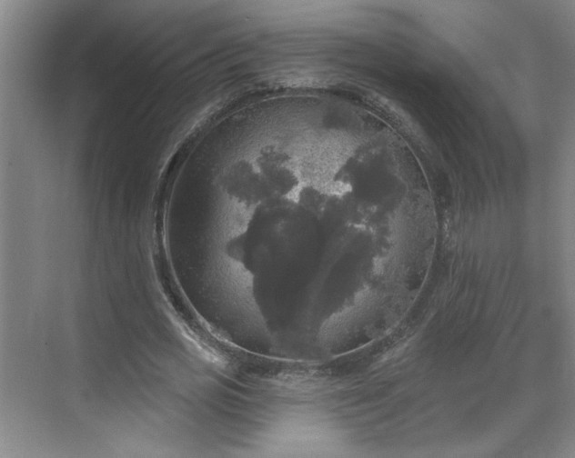 X0000070340725200606161250