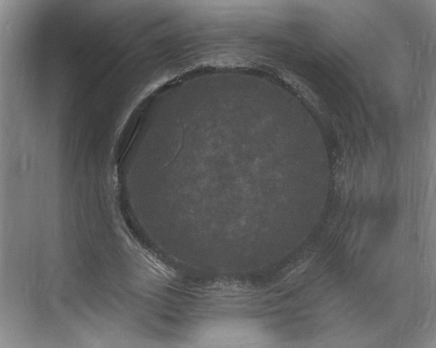 X0000070340727200606161250