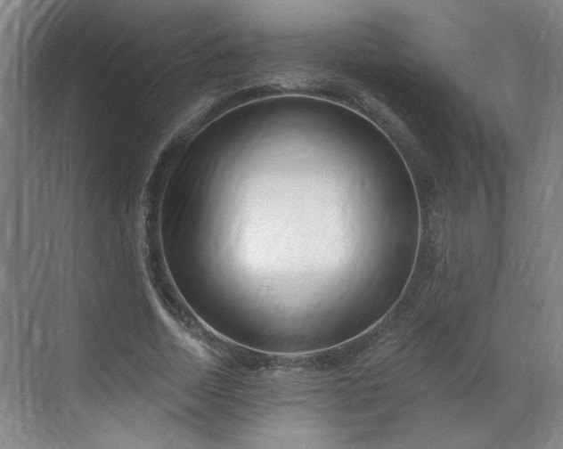 X0000070340730200606161250