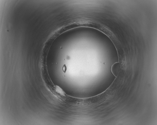 X0000070340732200606161250