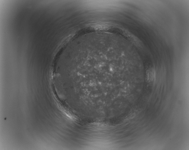 X0000070340733200606161250