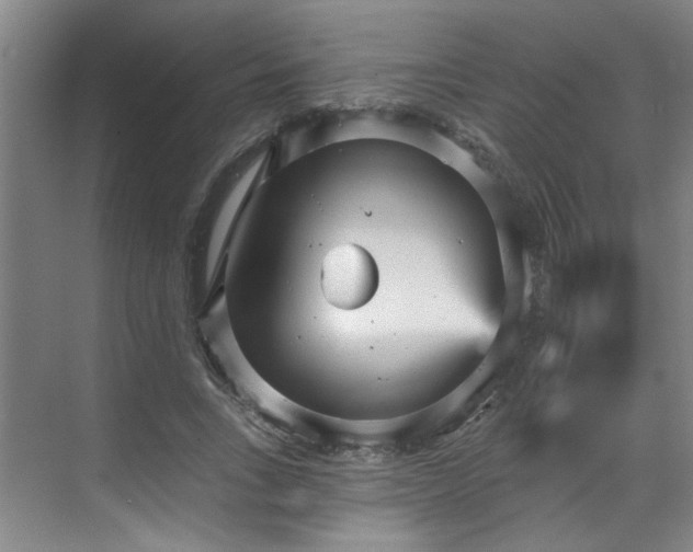 X0000070340735200606161250