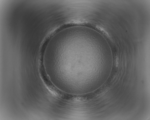 X0000070340736200606161250