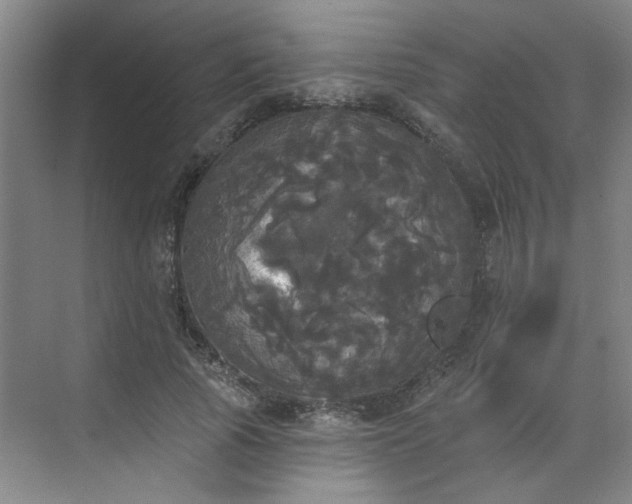 X0000070340737200606161250