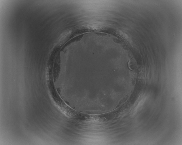 X0000070340738200606161250