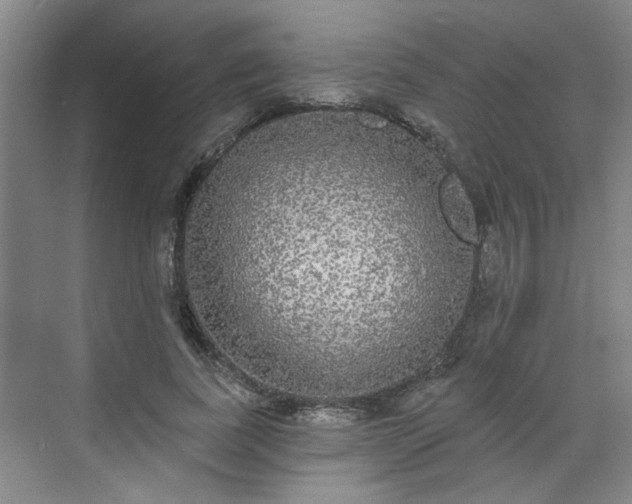 X0000070340739200606161250