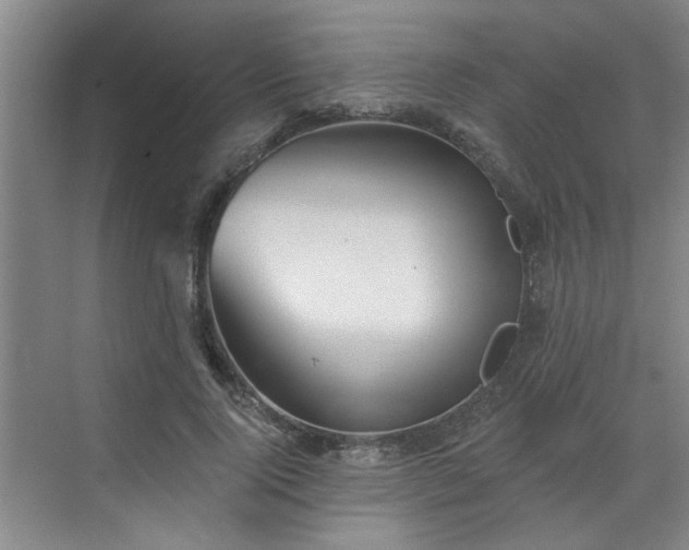 X0000070340740200606161250