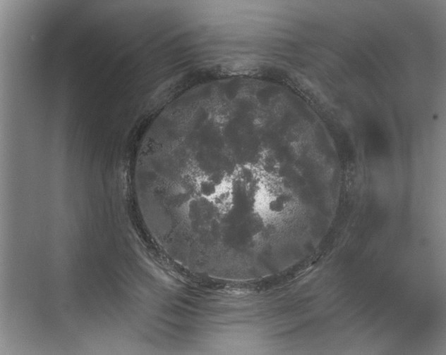 X0000070340741200606161250