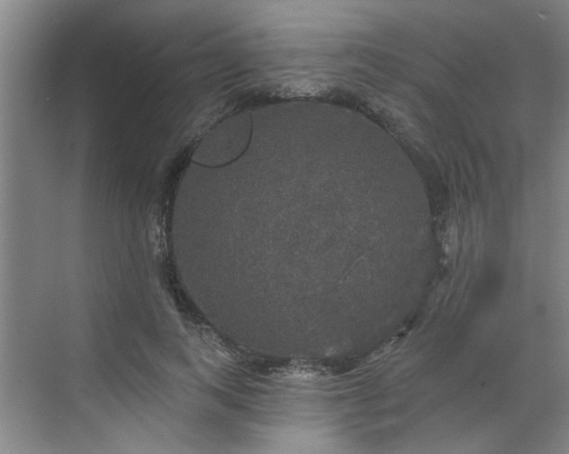 X0000070340743200606161250