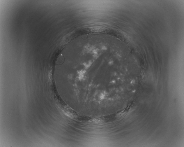 X0000070340745200606161250