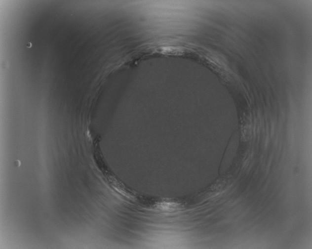 X0000070340748200606161250