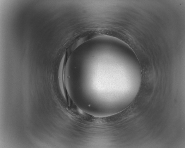 X0000070340750200606161250