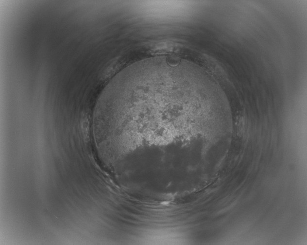 X0000070340753200606161250