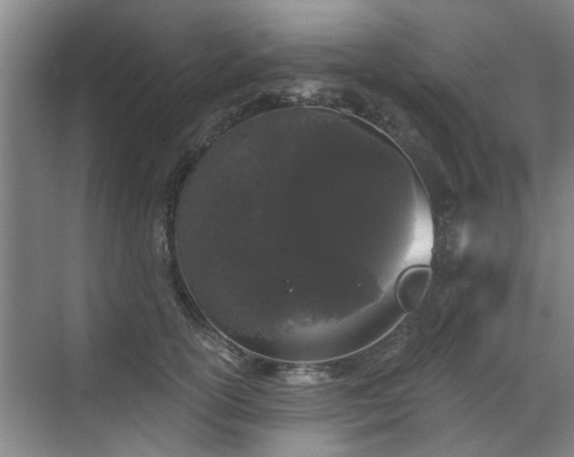 X0000070340754200606161250