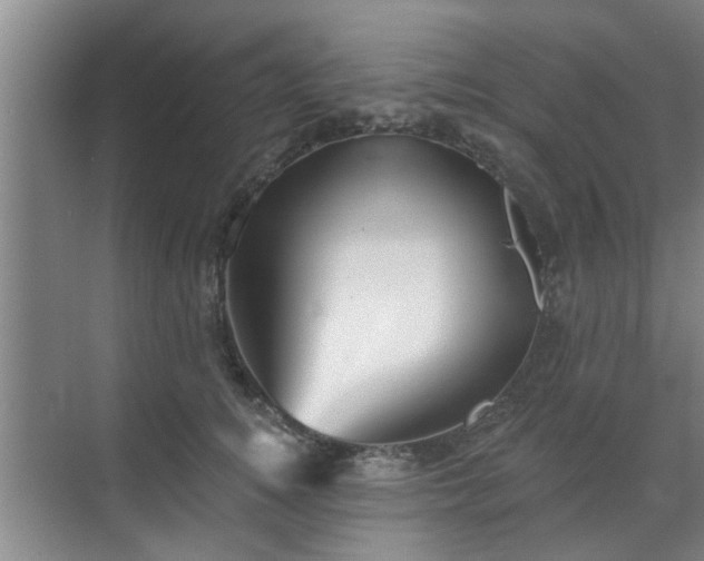 X0000070340756200606161250