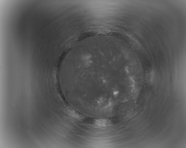 X0000070340757200606161250