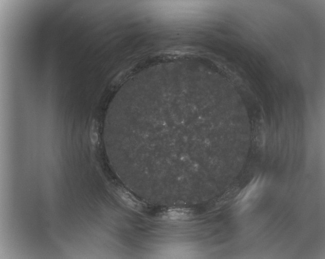 X0000070340758200606161250