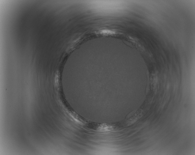 X0000070340760200606161250