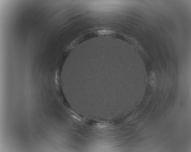 X0000070340763200606161250